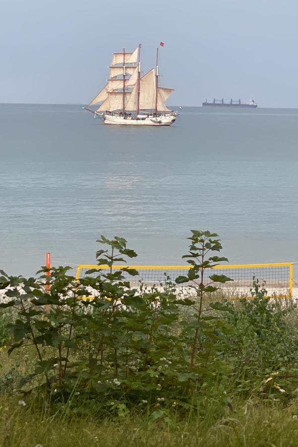 Reethaus Seeadler mit Sauna, Terrasse, Garten Glowe Exterior foto