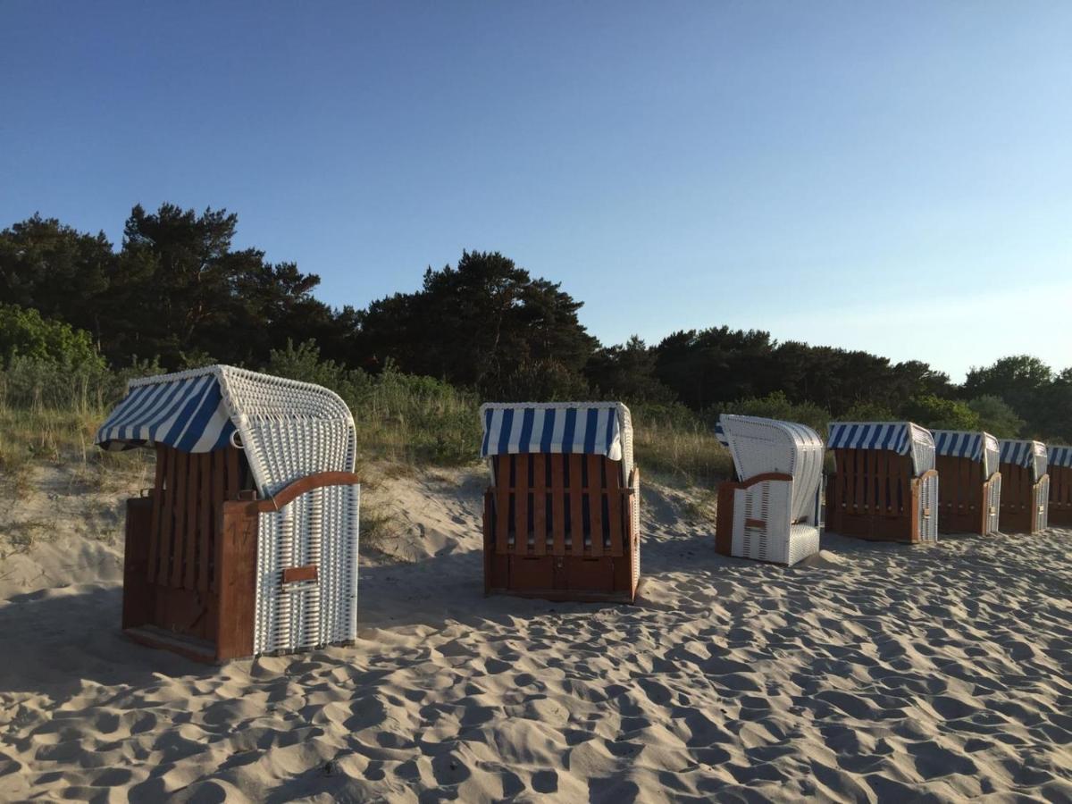 Reethaus Seeadler mit Sauna, Terrasse, Garten Glowe Exterior foto